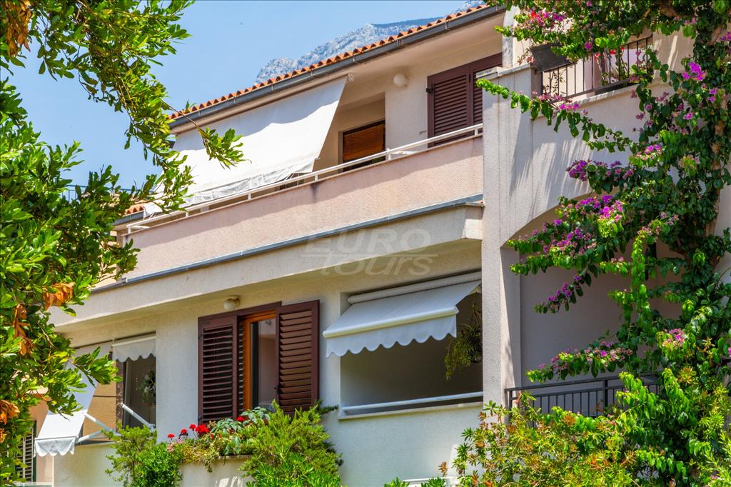 City Apartment Ana 1