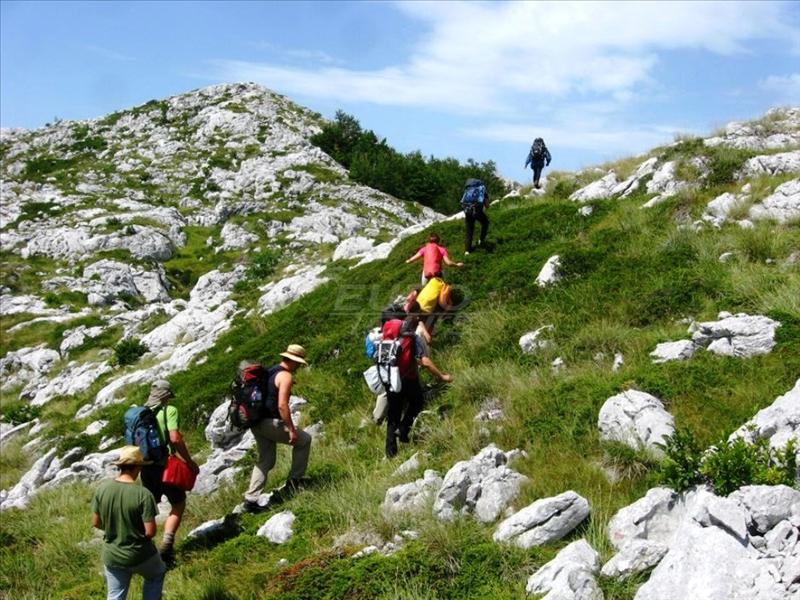 Walking tours - hiking